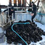 Eni, sinergia con il territorio uno dei segreti dell'azienda