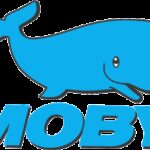 Moby, entro prossima settimana ripristino Santa Teresa - Bonifacio
