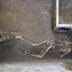 Pompei, trovati resti di altre due vittime dell'eruzione