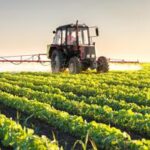 Osservatorio Enpaia-Censis del mondo agricolo, 70% degli italiani è favorevole a lavorare oltre all'...