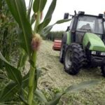 Emilia-Romagna: ricerca Adnkronos, per Di Gregorio: Male sicurezza, bene occupazione