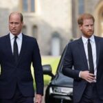 William torna a parlare di Harry, il ricordo con la madre Diana in nuovo documentario