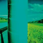 Green Social Impact, sostenibilità aziende passa da crescita delle comunità
