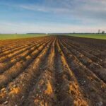 Ismea, riparte 'Generazione Terra', 120 mln per giovani agricoltori nel 2026