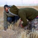 Siria, scoperta un'altra fossa comune: Qui i resti di 100mila corpi