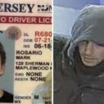 Usa, uomo del Minnesota si finge agente Fbi per liberare Mangione: arrestato
