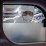 Virus Nipah in Europa e rischi contagio, cosa dice l'Ecdc e i consigli per chi viaggia