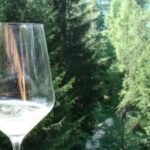 Codice della strada: bottiglie take away e più taxi, i Consorzi del vino in campo per un bere respon...