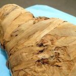 Legnoso e dolce-piccante, ecco il profumo di Tutankhamon: scoperto odore mummie egiziane