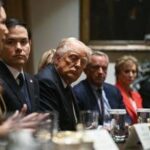 Ucraina, Trump: Parliamo di centrale di Zaporizhzhia, presto accordo per terre rare