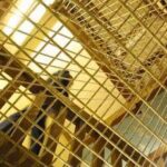Allarme suicidi in carcere, Forza Italia apre a 'riforme'. Stop di Delmastro: No a svuota-carceri