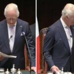 Carlo e il discorso alla Camera: Cerimonia finita. Anzi, no - Video