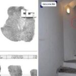 Caso Garlasco, genetista Capra frena: Con metodo pm si riapre tutto, anche delitto di Yara