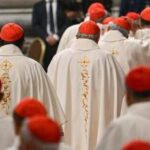 Conclave 2025, sondaggio tra vaticanisti: in pole Parolin con il 38%