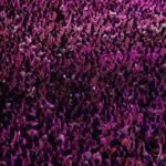 Concerto Radio Italia, stasera 27 giugno a Palermo: cantanti, scaletta, orari