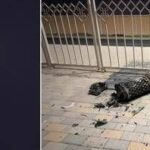 Iran risponde ai raid Usa, attaccate basi americane in Qatar e Iraq