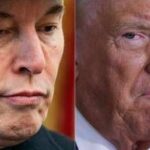 Musk si pente: Rammaricato per alcuni post contro Trump, sono andati troppo oltre