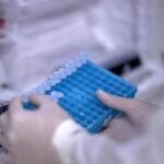 Ricerca, Rizzuto: In Italia studi su Rna e terapie geniche per cure personalizzate