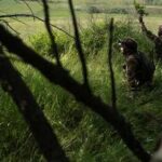 Ucraina-Russia, Kiev: Non negoziamo più con Mosca senza un cessate il fuoco
