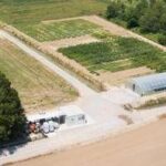 Agricoltura, MartinoRossi in campo per innovazione sostenibile con progetti sperimentali