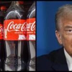 Coca-Cola accontenta Trump: userà lo zucchero di canna. I rischi per il mercato