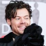 Harry Styles oltre la musica, lancia una linea di... sex toys: Pleasing Yourself