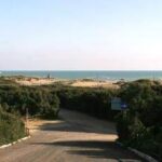 Ostia, medici Sima: Preoccupazione per spiagge 'Cancelli' senza bagni con caldo estremo