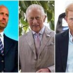 Pace fra William, Harry e Carlo? Interviene il sensitivo: Non prima di otto anni