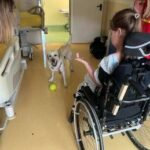 Sma, al Besta studio benefici pet therapy con Purina e Frida’s Friends