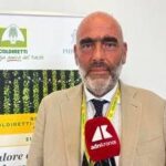 Tabacco, Bellelli (Coldiretti Campania): Accordi di filiera fondamentali per redditività, ambiente ...
