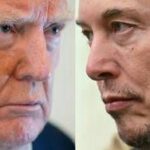 Trump, nuovo attacco a Musk: Rivedere sussidi alle sue aziende, senza tornerebbe in Sudafrica'