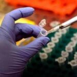 Tumori, Fondazione Aiom: Oltre 1,2 mln di italiani ad alto rischio forme ereditarie