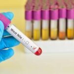 West Nile, Iss: 10 casi da inizio anno, 7 in provincia di Latina