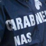 Botulino, sequestrati dai Nas oltre 600 kg di conserve e succhi a rischio