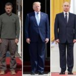 Da Putin ok a vertice con Trump, ma non con Zelensky. Meloni sente i presidenti Usa e ucraino: Pace...