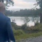 Dmitriev incontra un orso in Alaska prima del vertice: Sia di buon auspicio