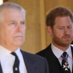 Harry e la scazzottata con lo zio Andrew: Non è mai avvenuta