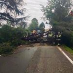 Maltempo al centronord, alberi caduti e allagamenti: oltre 1300 gli interventi dei Vigili del Fuoco