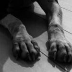 Messina, cane trovato morto in una valigia