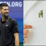 Rivoluzione Lacoste, il celebre coccodrillo 'si trasforma' per Djokovic: l'omaggio al fuoriclasse