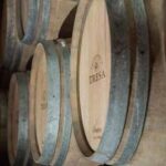 Vino: con Santa Tresa torna in etichetta il vitigno siciliano 'scomparso' Orisi
