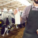 Agricoltura, Ismea: filiera lattiero casearia cresce e si rafforza sui mercati esteri
