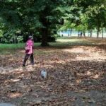 Arriva l'autunno, cos'è l'equinozio e quando cade