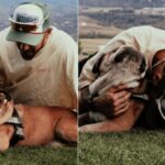 Hamilton, è morto il cane Roscoe: La decisione più difficile della mia vita