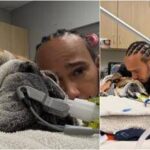 Hamilton, il cane Roscoe è malato: Ha la polmonite, ora è in coma
