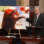 I gamberi ti fanno diventare Alien, l'allarme del senatore Kennedy