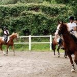 Milano, abusi su allieve minorenni: arrestato istruttore di equitazione