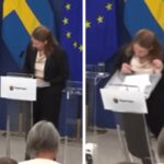 Ministra della Salute svedese Elisabet Lann sviene in conferenza stampa - Il video