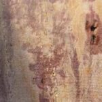Scoperta in Egitto, nuova stele del Decreto di Canopo svela segreti sul regno tolemaico