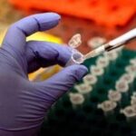 Creati per la prima volta embrioni da Dna pelle umana